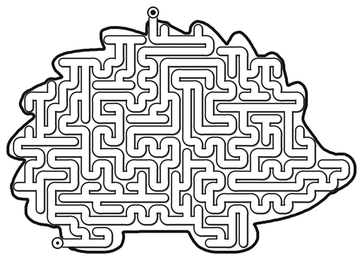 A hedgehog shaped pipe maze